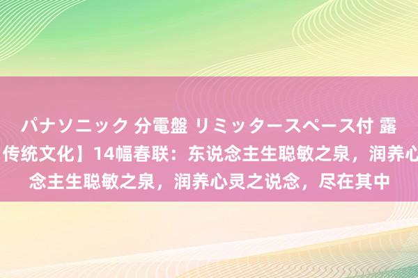 パナソニック 分電盤 リミッタースペース付 露出・半埋込両用形 【传统文化】14幅春联：东说念主生聪敏之泉，润养心灵之说念，尽在其中