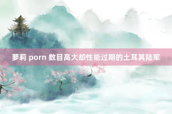 萝莉 porn 数目高大却性能过期的土耳其陆军