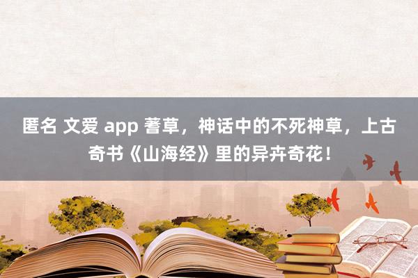 匿名 文爱 app 蓍草，神话中的不死神草，上古奇书《山海经》里的异卉奇花！