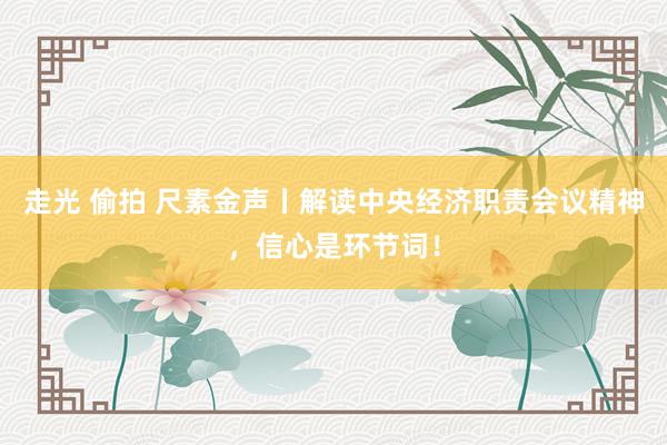 走光 偷拍 尺素金声丨解读中央经济职责会议精神，信心是环节词！