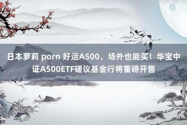 日本萝莉 porn 好运A500，场外也能买！华宝中证A500ETF磋议基金行将重磅开售