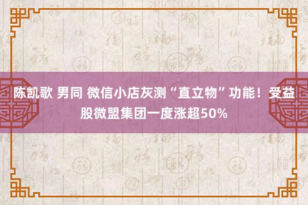 陈凯歌 男同 微信小店灰测“直立物”功能！受益股微盟集团一度涨超50%