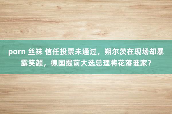 porn 丝袜 信任投票未通过，朔尔茨在现场却暴露笑颜，德国提前大选总理将花落谁家？