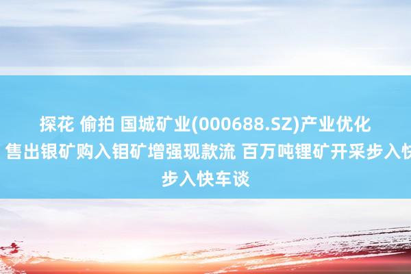 探花 偷拍 国城矿业(000688.SZ)产业优化加速: 售出银矿购入钼矿增强现款流 百万吨锂矿开采步入快车谈