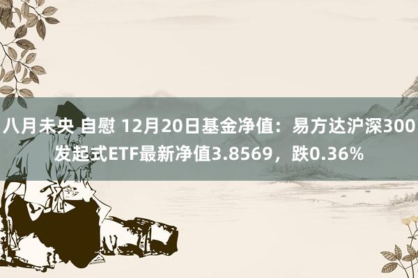 八月未央 自慰 12月20日基金净值：易方达沪深300发起式ETF最新净值3.8569，跌0.36%