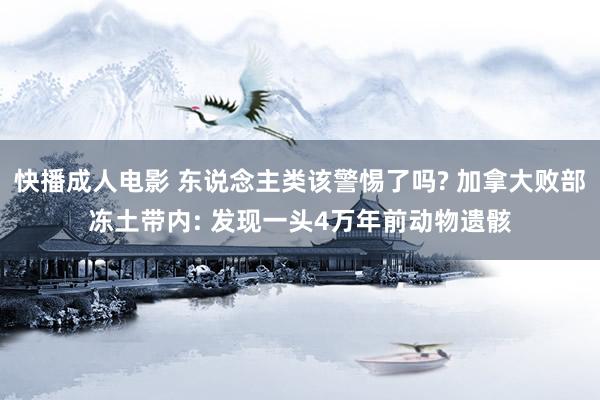 快播成人电影 东说念主类该警惕了吗? 加拿大败部冻土带内: 发现一头4万年前动物遗骸