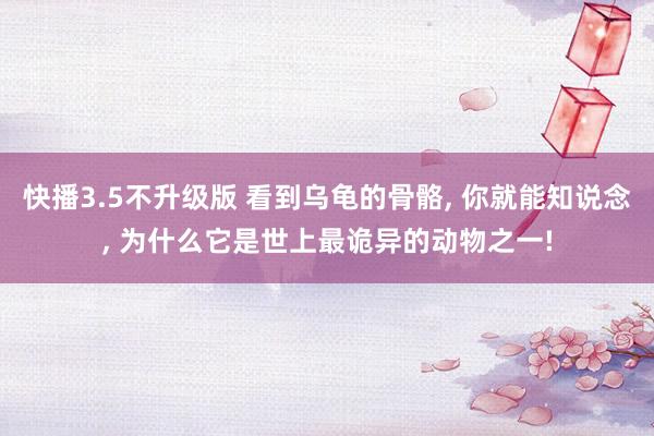 快播3.5不升级版 看到乌龟的骨骼， 你就能知说念， 为什么它是世上最诡异的动物之一!