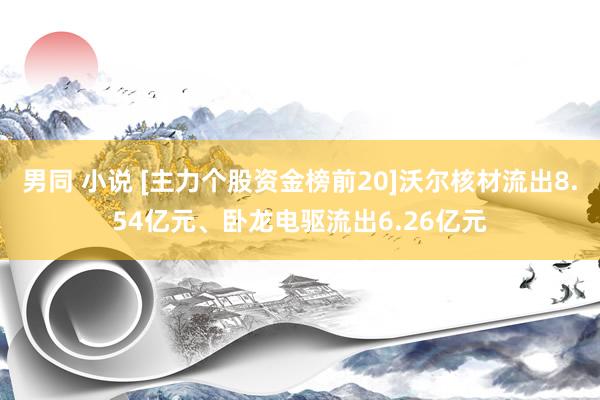 男同 小说 [主力个股资金榜前20]沃尔核材流出8.54亿元、卧龙电驱流出6.26亿元