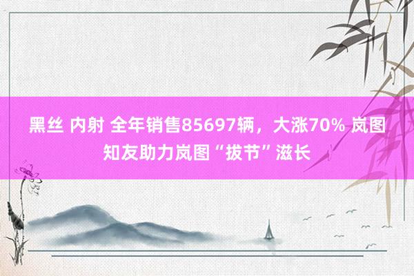 黑丝 内射 全年销售85697辆，大涨70% 岚图知友助力岚图“拔节”滋长