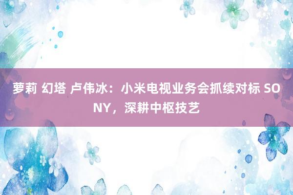 萝莉 幻塔 卢伟冰：小米电视业务会抓续对标 SONY，深耕中枢技艺