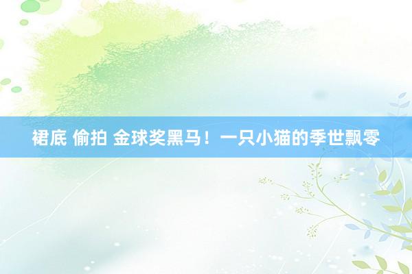 裙底 偷拍 金球奖黑马！一只小猫的季世飘零