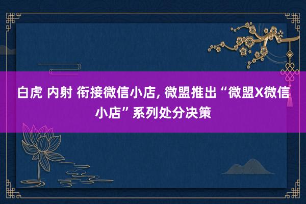 白虎 内射 衔接微信小店， 微盟推出“微盟X微信小店”系列处分决策