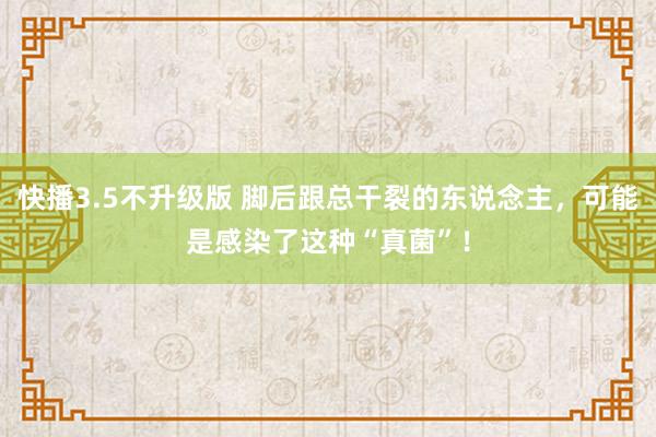 快播3.5不升级版 脚后跟总干裂的东说念主，可能是感染了这种“真菌”！