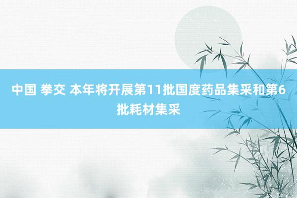 中国 拳交 本年将开展第11批国度药品集采和第6批耗材集采