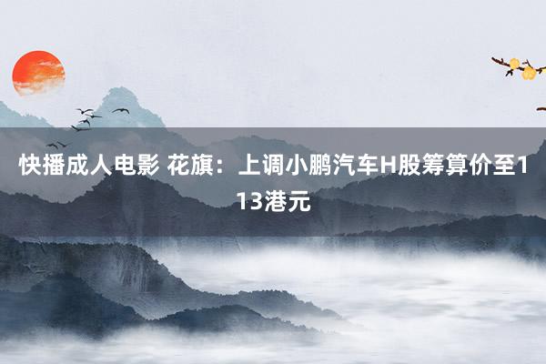 快播成人电影 花旗：上调小鹏汽车H股筹算价至113港元
