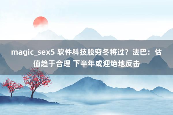 magic_sex5 软件科技股穷冬将过？法巴：估值趋于合理 下半年或迎绝地反击