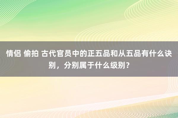 情侣 偷拍 古代官员中的正五品和从五品有什么诀别，分别属于什么级别？