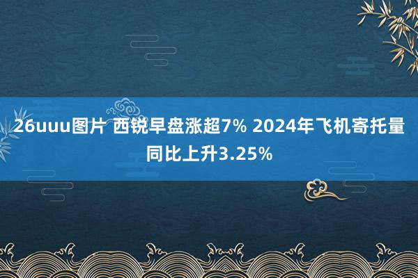 26uuu图片 西锐早盘涨超7% 2024年飞机寄托量同比上升3.25%