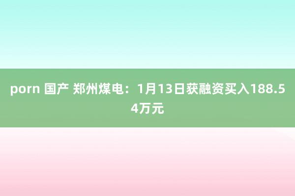 porn 国产 郑州煤电：1月13日获融资买入188.54万元
