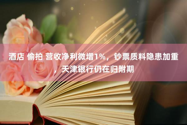 酒店 偷拍 营收净利微增1%，钞票质料隐患加重，天津银行仍在归附期