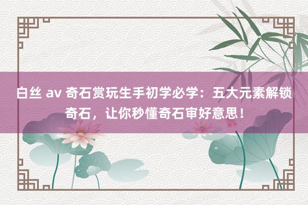 白丝 av 奇石赏玩生手初学必学：五大元素解锁奇石，让你秒懂奇石审好意思！