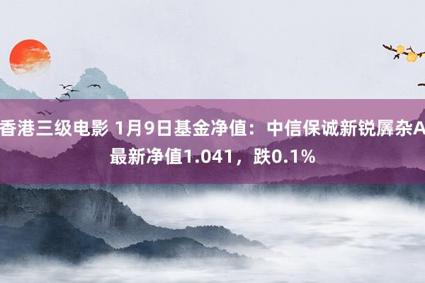 香港三级电影 1月9日基金净值：中信保诚新锐羼杂A最新净值1.041，跌0.1%