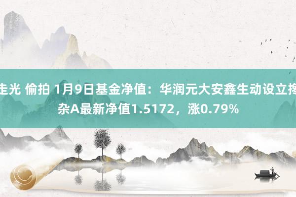 走光 偷拍 1月9日基金净值：华润元大安鑫生动设立搀杂A最新净值1.5172，涨0.79%