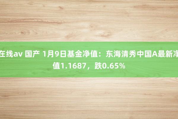 在线av 国产 1月9日基金净值：东海清秀中国A最新净值1.1687，跌0.65%