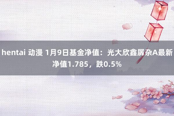 hentai 动漫 1月9日基金净值：光大欣鑫羼杂A最新净值1.785，跌0.5%