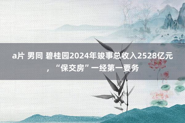 a片 男同 碧桂园2024年竣事总收入2528亿元，“保交房”一经第一要务