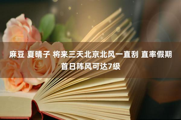 麻豆 夏晴子 将来三天北京北风一直刮 直率假期首日阵风可达7级