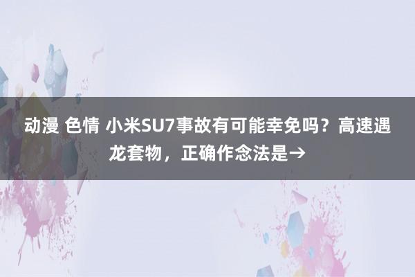 动漫 色情 小米SU7事故有可能幸免吗？高速遇龙套物，正确作念法是→