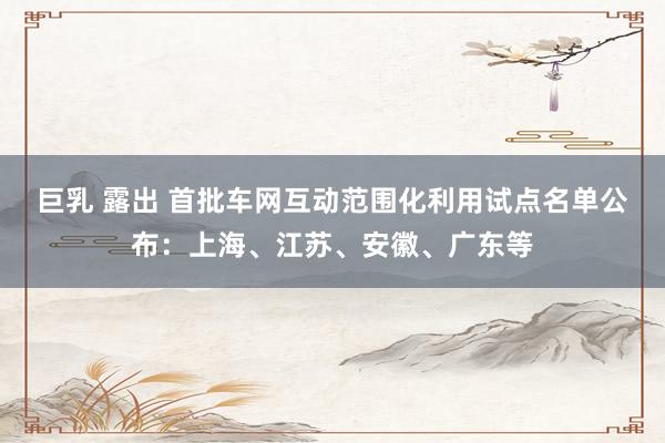 巨乳 露出 首批车网互动范围化利用试点名单公布：上海、江苏、安徽、广东等