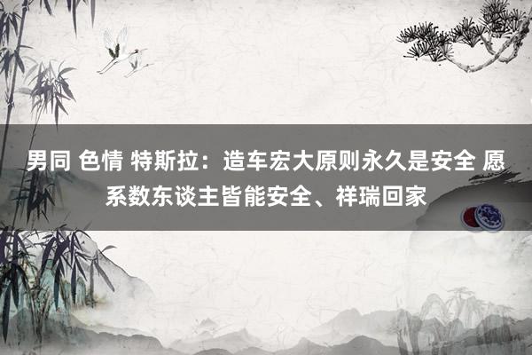 男同 色情 特斯拉：造车宏大原则永久是安全 愿系数东谈主皆能安全、祥瑞回家