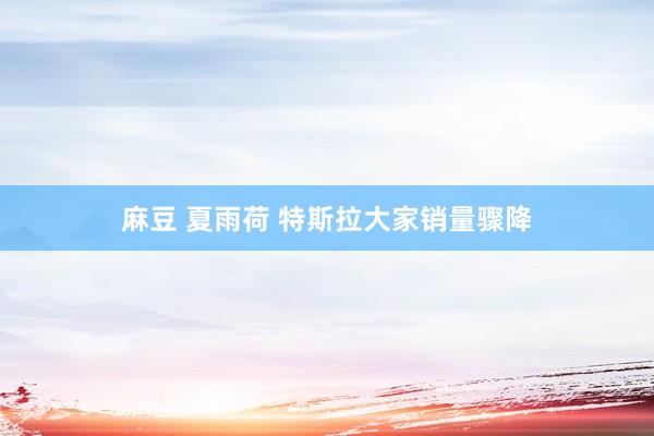 麻豆 夏雨荷 特斯拉大家销量骤降