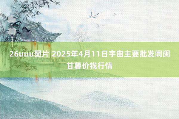 26uuu图片 2025年4月11日宇宙主要批发阛阓甘薯价钱行情