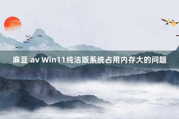 麻豆 av Win11纯洁版系统占用内存大的问题