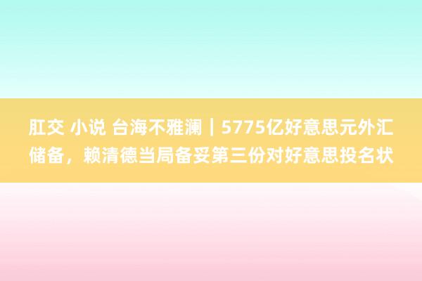 肛交 小说 台海不雅澜｜5775亿好意思元外汇储备，赖清德当局备妥第三份对好意思投名状
