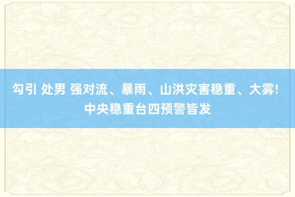 勾引 处男 强对流、暴雨、山洪灾害稳重、大雾! 中央稳重台四预警皆发