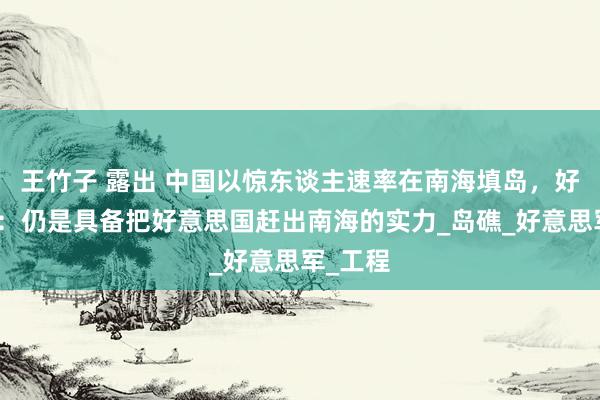 王竹子 露出 中国以惊东谈主速率在南海填岛，好意思媒：仍是具备把好意思国赶出南海的实力_岛礁_好意思军_工程