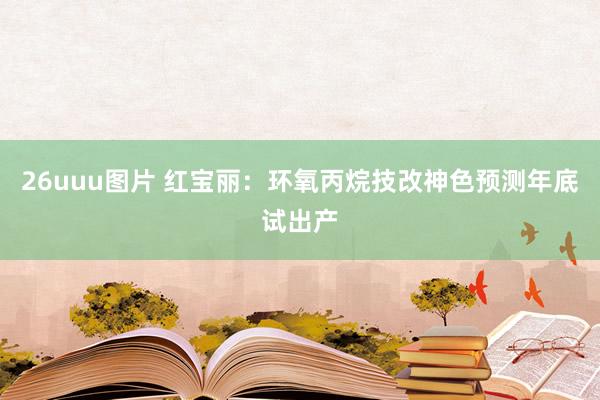 26uuu图片 红宝丽：环氧丙烷技改神色预测年底试出产